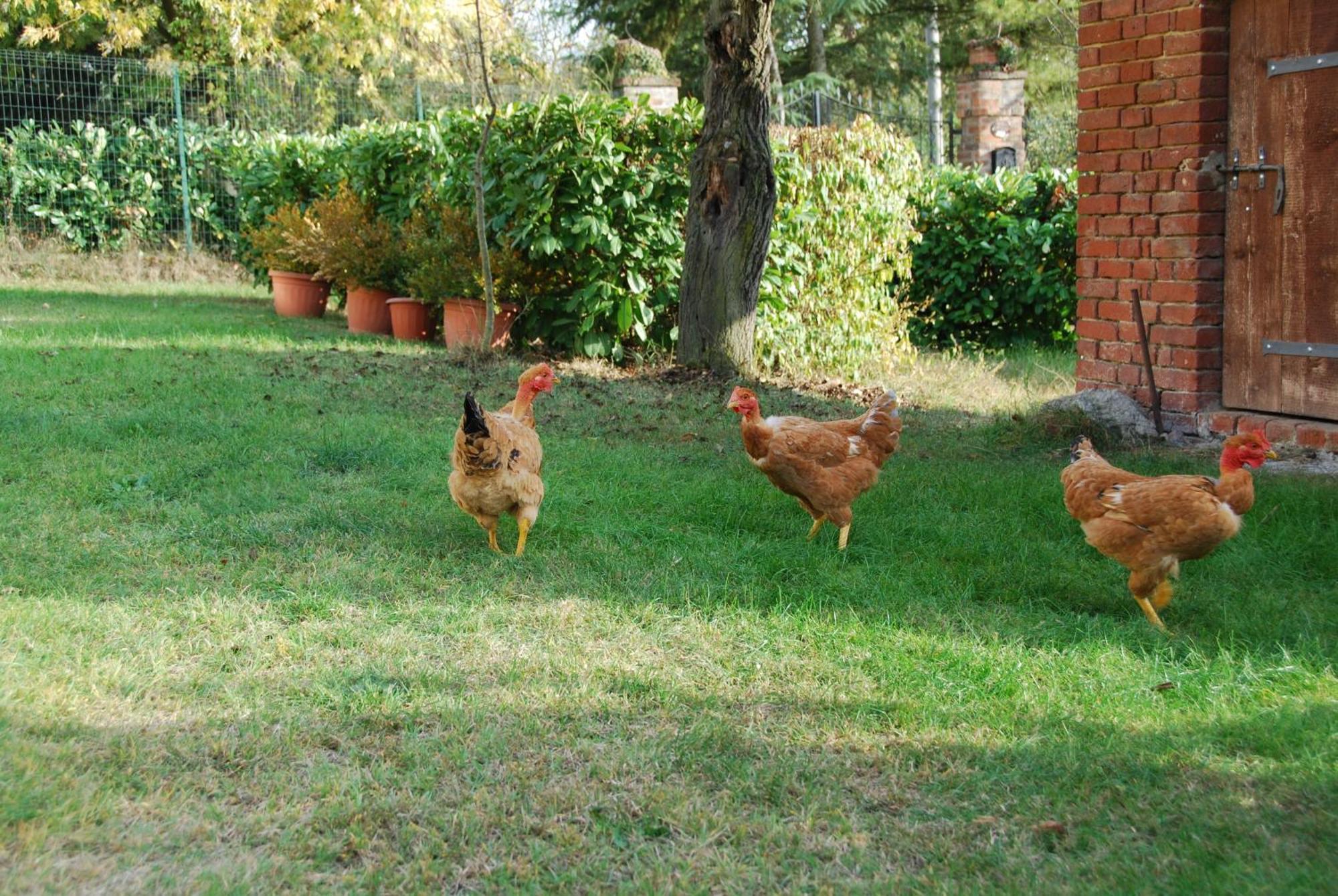 B&B Cascina Bricchetto Asti Buitenkant foto