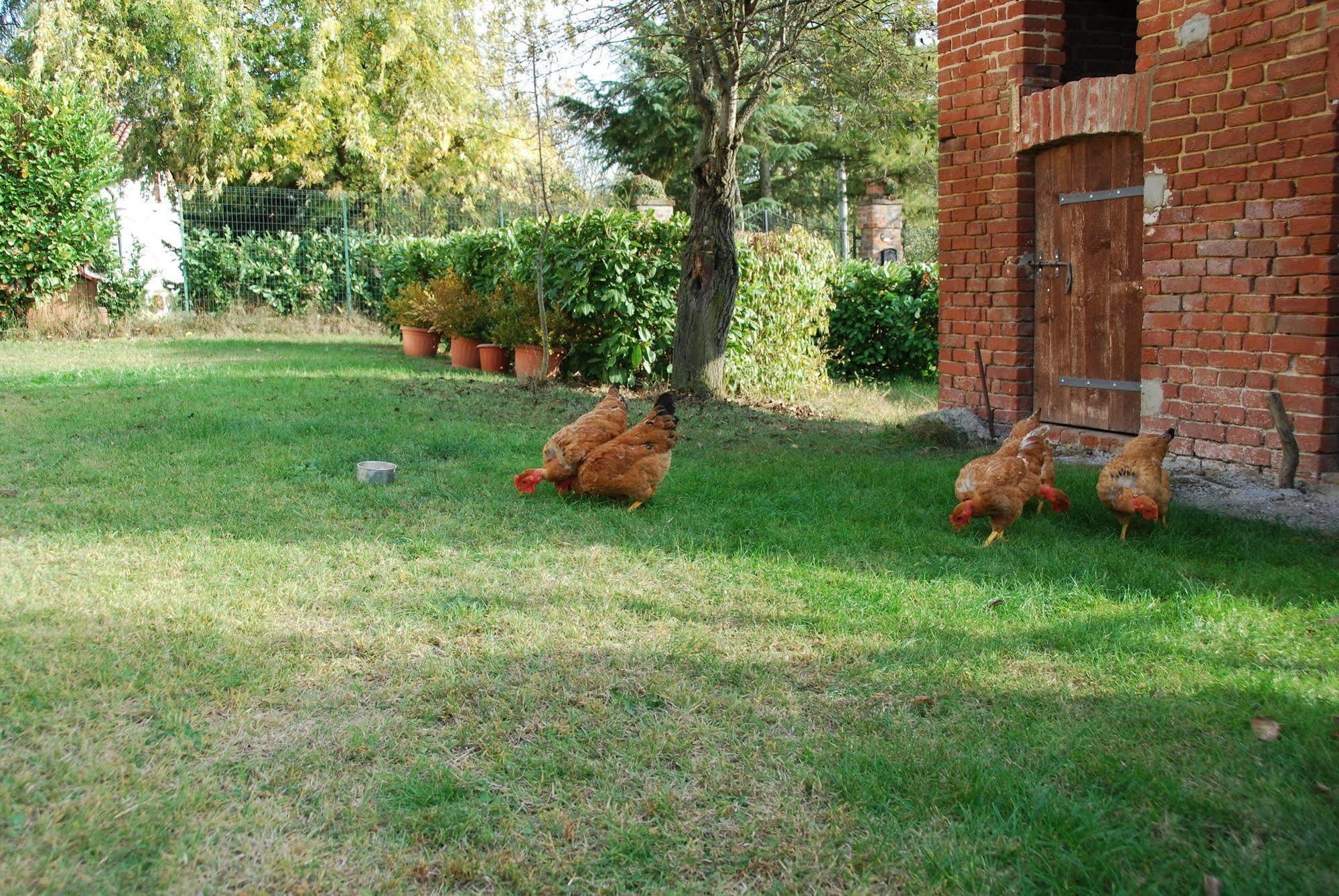 B&B Cascina Bricchetto Asti Buitenkant foto